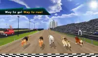 Wild Greyhound Dog Racing Screen Shot 18