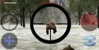 BEAR HUNTING 2015 Screen Shot 0