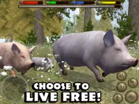 Ultimate Farm Simulator Screen Shot 9