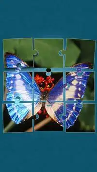 Butterfly Jigsaw Puzzles Screen Shot 8