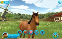 Horse World – Showjumping Premium - Fans équestres Screen Shot 7