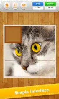 Puzzle Pet Cat Screen Shot 2