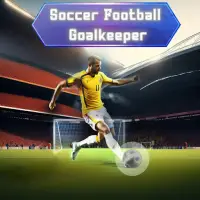 Soccer Football Goalkeeper Screen Shot 4