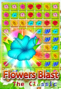 Flower Blast The Classic! Screen Shot 2