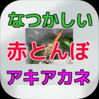 とんぼ&Fun Run - Multiplayer Racefor곤충의 숲 Screen Shot 4