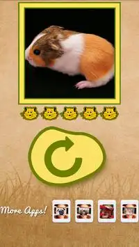 What hamster are you? Screen Shot 2