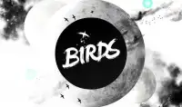 Birds Screen Shot 5