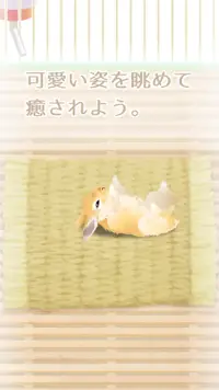 癒しのウサギ育成ゲーム Screen Shot 5