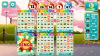 Bingo bay : Family bingo Screen Shot 7