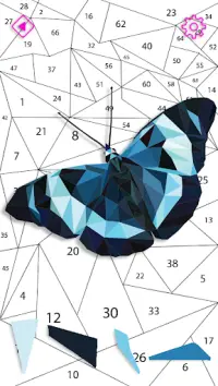 Butterfly Polygon Puzzle By Number Screen Shot 4