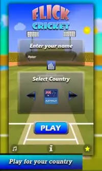 Flick Cricket Screen Shot 0