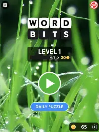 Word Bits: A Word Puzzle Game Screen Shot 6