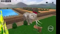Angry Elephant 2016 3D Screen Shot 5