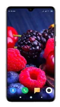 Fruit Wallpaper 4K Screen Shot 14