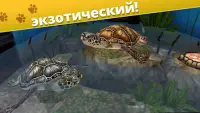 Pet World - приют для животных Screen Shot 3