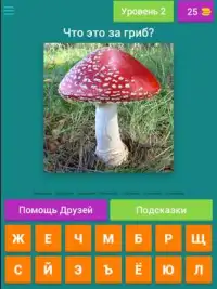 Угадай Гриб Screen Shot 7