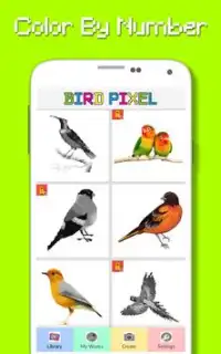 Bird Color By Number - Pixel Art Screen Shot 3