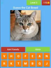 Cat Breeds Quiz - Guess the Cat Breed Screen Shot 11