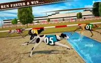 Dog Race & Stunts 2016 Screen Shot 7