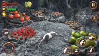 Mouse Game - Animal Simulator Screen Shot 1
