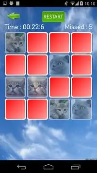 Cute Cat Memory Screen Shot 1