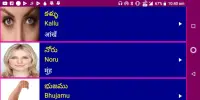 Learn Telugu From Hindi Screen Shot 11
