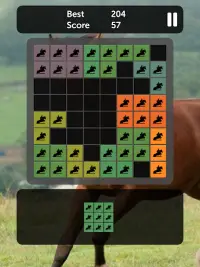 Horse Blocks - Puzzle Games Screen Shot 5