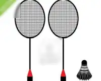 Badminton quebra-cabeças Screen Shot 3