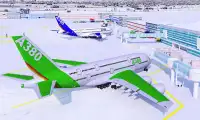 Snow Cargo Jet Landing 3D Screen Shot 1