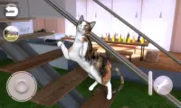 Calico Cat im Gespräch Screen Shot 5