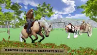 Stunts Horse Stallion Stunts: Massive et sans peur Screen Shot 5