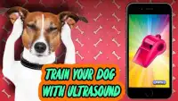 Ultrasonic Whistle for Dogs Simulator Screen Shot 0