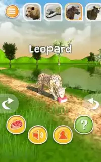 Hayvan Simülatörü 3D - Safari Predators Special Screen Shot 20