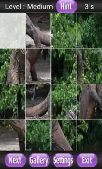 Komodo Dragon Screen Shot 5