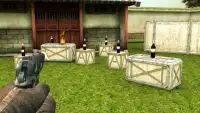 Bottle Shooting Gun Master Freegame Screen Shot 6