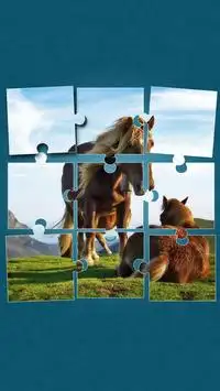Kuda Permainan Puzzle Screen Shot 9