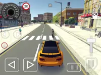 Driving School 3D Screen Shot 12