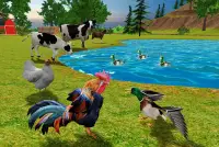 Rooster Simulator - Chick Life Screen Shot 4