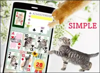 Cats Playing Card Games Screen Shot 1