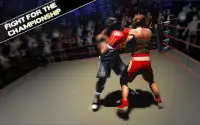 Boxing Games 2017 Screen Shot 0