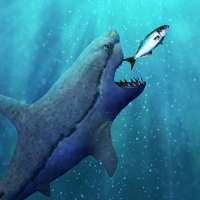 game evolusi rahang dunia hiu gila yang lapar
