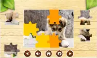 Dog Jigsaw Puzzles Brain Games for Kids Free Screen Shot 2