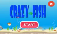 Crazy Fish Screen Shot 0