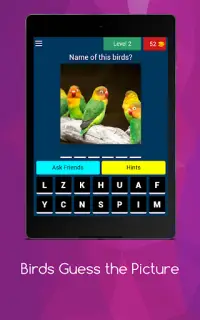 Bird Quiz: Feather Fun Trivia Screen Shot 11