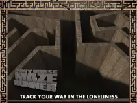Pony Horse Maze Run Simulator Screen Shot 9