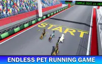 Pet Dog Run Simulator - Greyhound Racing Game Screen Shot 8
