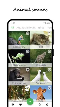 Sonidos de animales Screen Shot 0