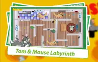 Labyrinth of Tom & Mouse FREE Screen Shot 1