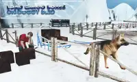 Doggy Buggy Cart Transporter - Sleigh Dogs Sim Screen Shot 3