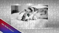 Jigsaw Puzzle Cats for Kids Screen Shot 0